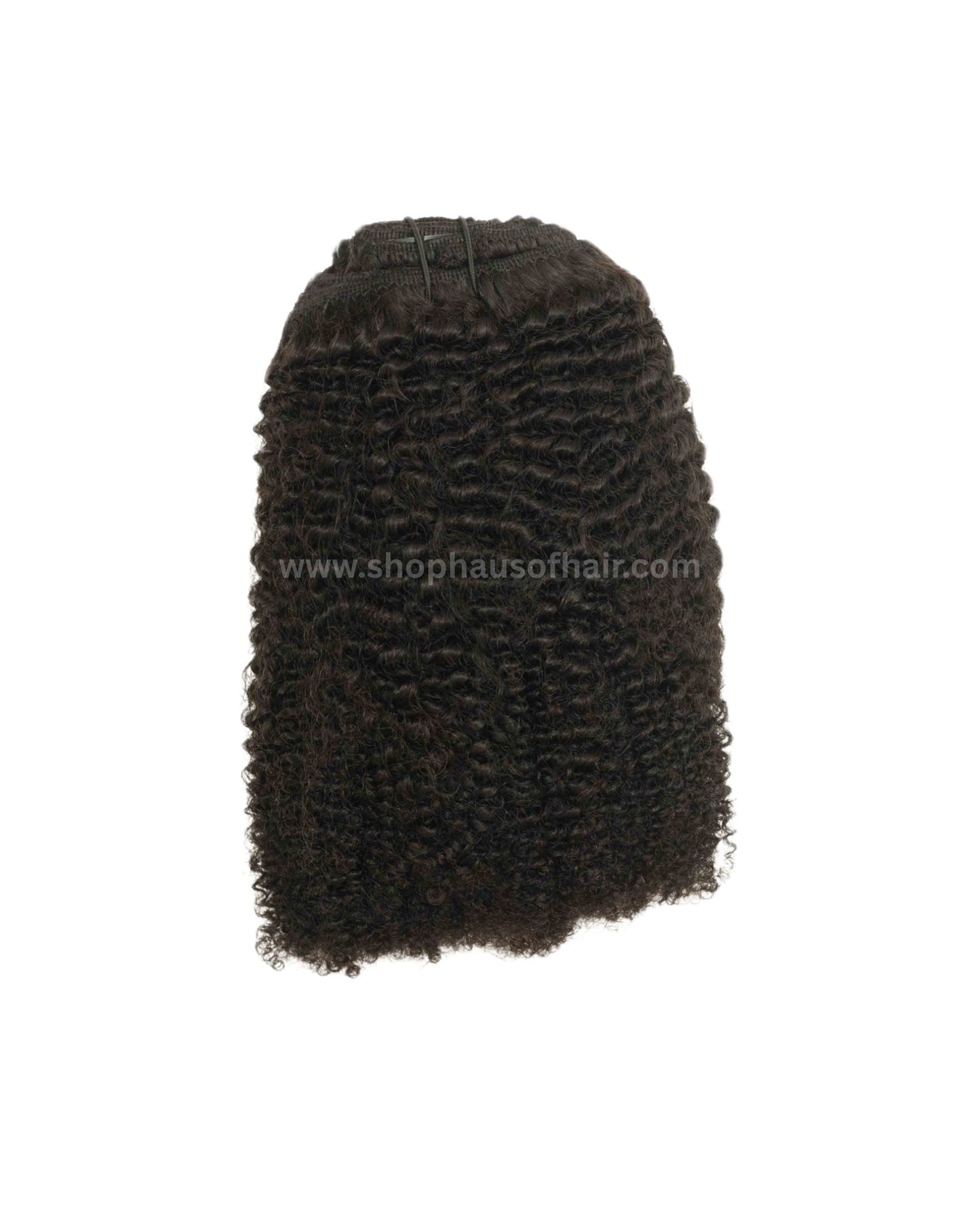 Clip In Extensions - The Coilys - Type A