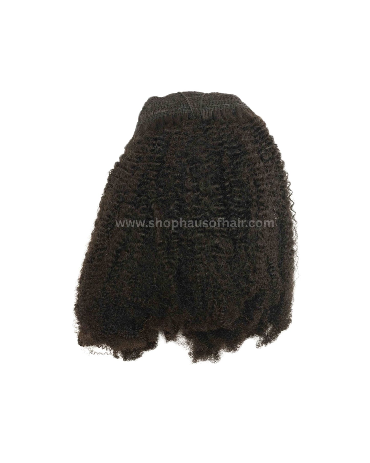 Clip In Extensions - The Coilys - Type B